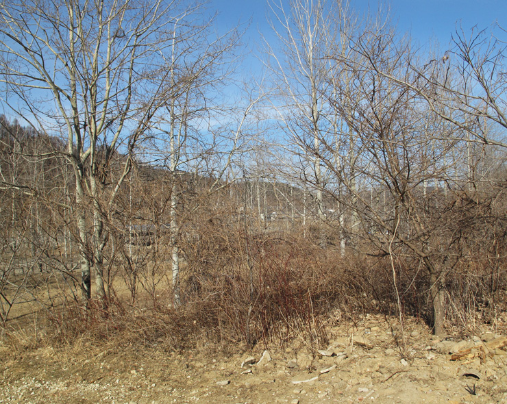 하천습지생태 체험장